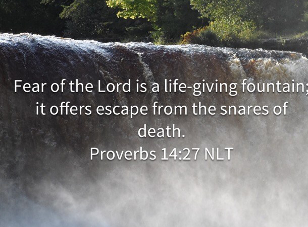 2C41D712-6B1E-448B-BCEA-A03A26AE6EF7