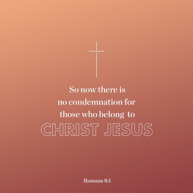 8E0DAF93-849D-4778-BE9C-1FDF58D6D256