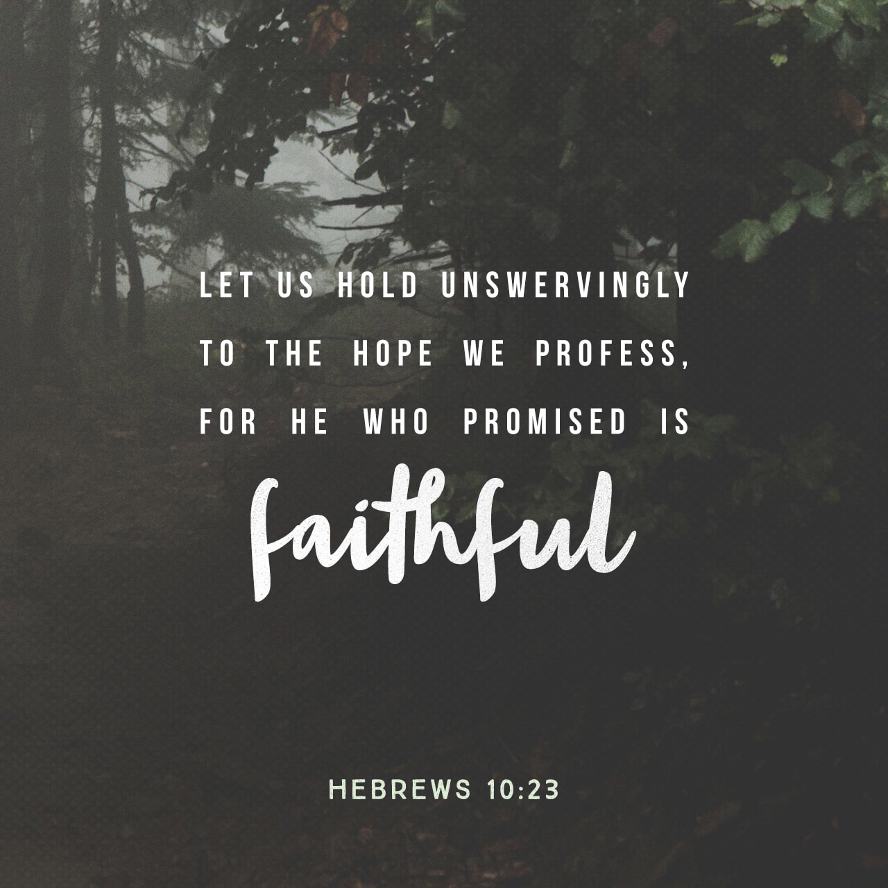 C759F7AD-AD34-4DE5-AB9C-05F7477C8971